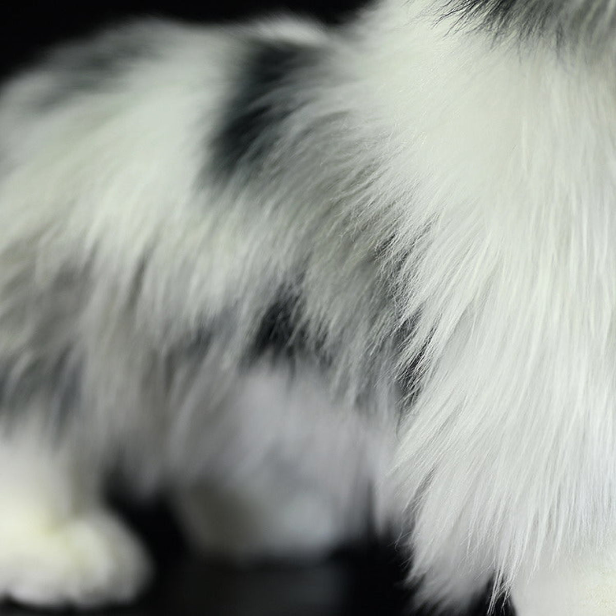 Border Collie Kuscheltier 29 cm – Realistisches Plüschtier Hund Stofftier